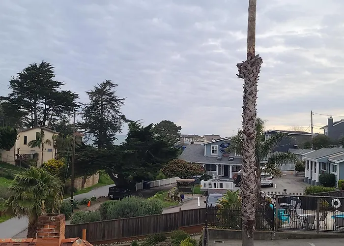Sunny Cove Motel